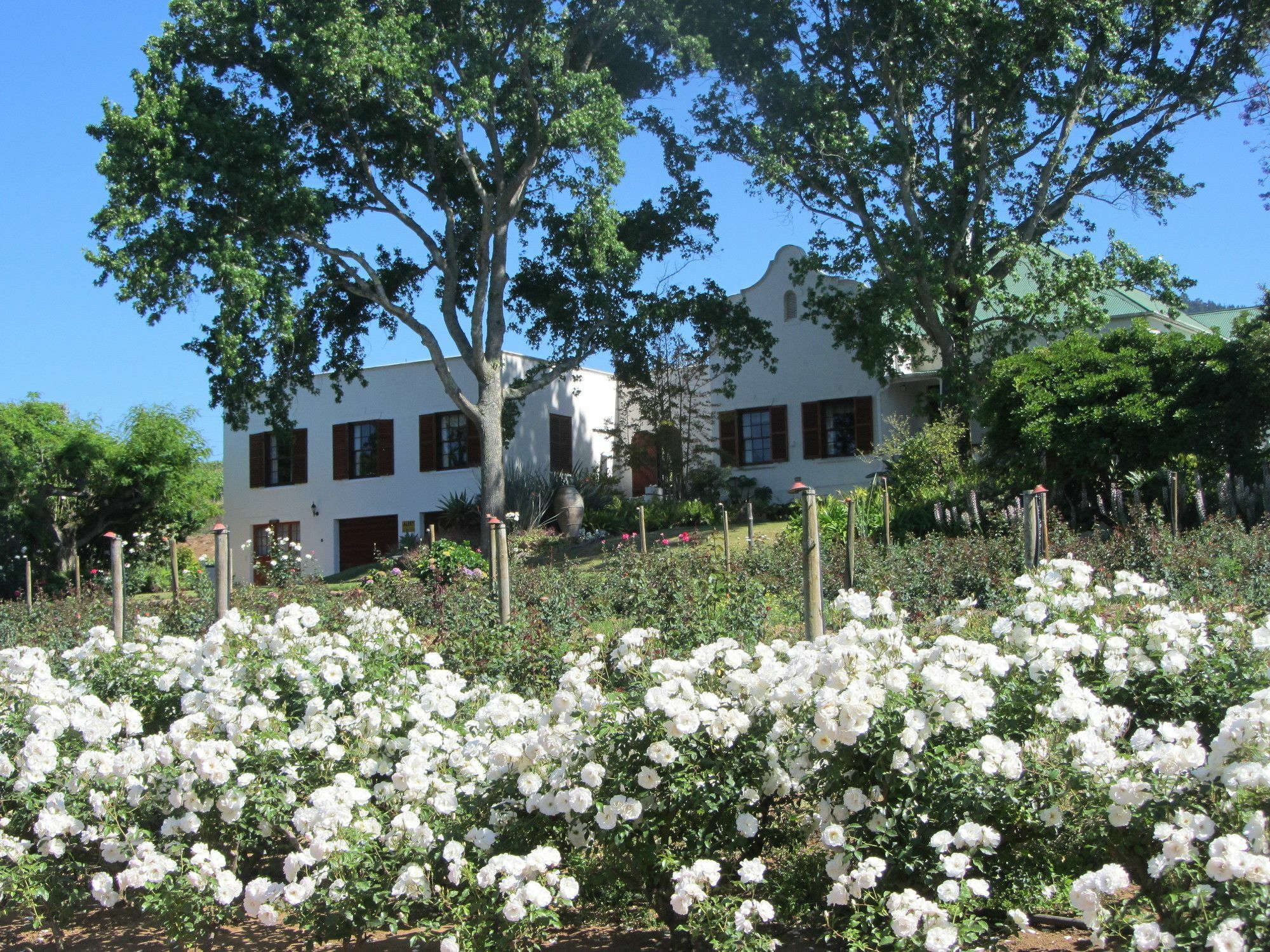 Aan-Den-Weg Vila Stellenbosch Exterior foto