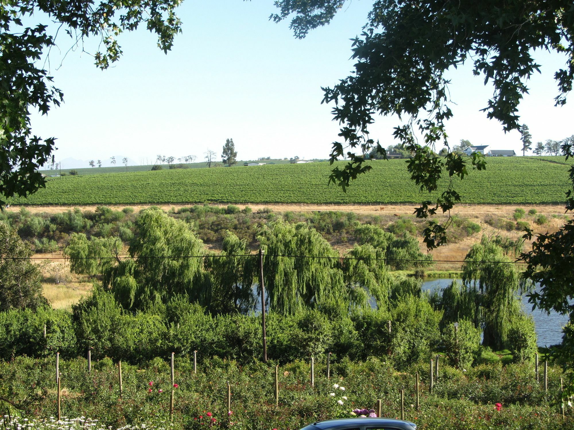 Aan-Den-Weg Vila Stellenbosch Exterior foto