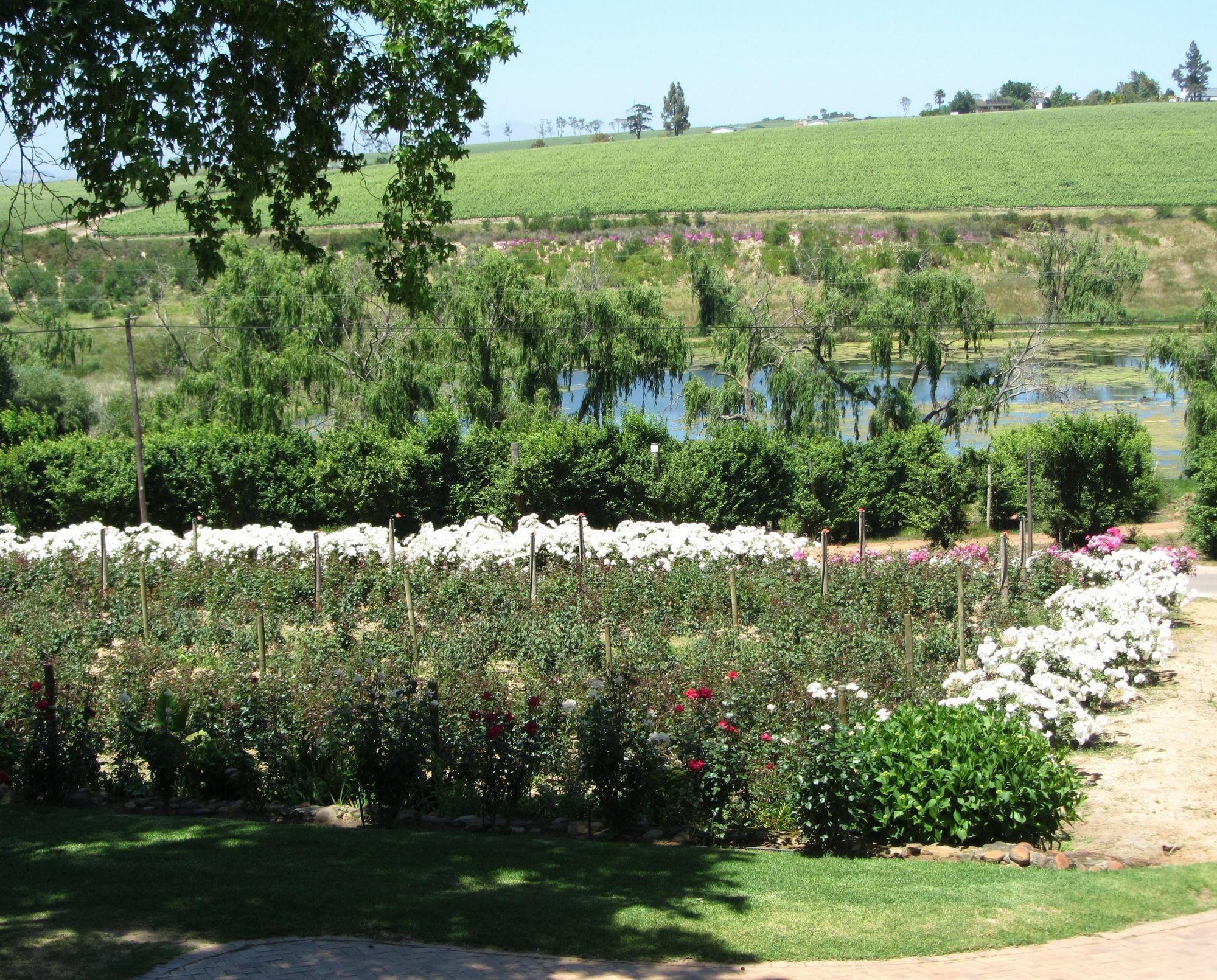 Aan-Den-Weg Vila Stellenbosch Exterior foto